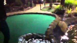 Greatest puttputt shot of all time [upl. by Gautious]