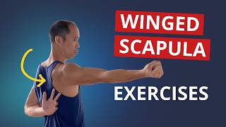 4 Exercises to Fix Winged Scapula amp Build STABLE Shoulder Blades [upl. by Halullat]