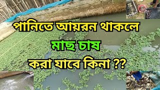 পানিতে আয়রন থাকলে মাছ চাষ করা যাবে কিনা  Iron problem in fish farming [upl. by Camroc747]