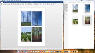 How to insert an image in word with perfect dimensions  Microsoft Word Tutorials [upl. by Wivina]