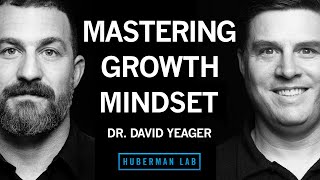 Dr David Yeager How to Master Growth Mindset to Improve Performance [upl. by Hannahsohs]