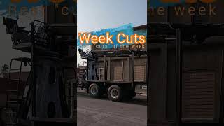 Best quotcutsquot of the week logging reality highlights [upl. by Adnovad]