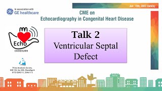 Talk 2  Ventricular Septal Defect Size and Place Matter [upl. by Alveta]