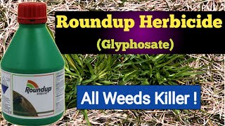 How to Kill Weeds  Roundup Herbicide Bayer  Glyphosate 41 SL [upl. by Aidil]