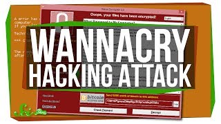 Why Was the WannaCry Attack Such a Big Deal [upl. by Silvana]