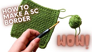 How To Single Crochet a Blanket Border  PERFECT FOR BEGINNERS [upl. by Chelsae]