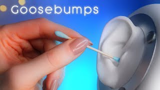 ASMR Ear Bliss Relaxing Ear Cleaning and Massage For Sleep  ASMR No Talking [upl. by Eimmelc395]