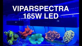 VIPARSPECTRA 165W Settings Schedule Spectrum Setup Light Saltwater Coral Reef Aquarium [upl. by Saretta143]