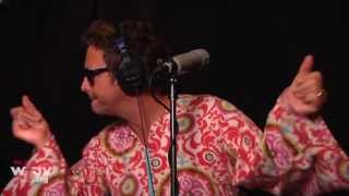 The Polyphonic Spree  quotPopular By Designquot Live at WFUV [upl. by Urbano]