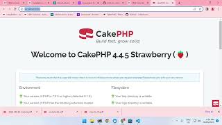 CakePHP 4  SpatieBrowsershot PDF Creation with Token Authentication [upl. by Callan]