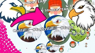 EAGLE INVASION Agario SOLO Destroying TEAM Ultimate Moments Agario Legend Gameplay [upl. by Oivatco391]