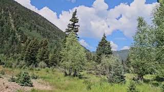 Gorgeous Mountain Ranch for sale in Jasper CO 53 riverfront acres with home and water rights [upl. by Ramso155]