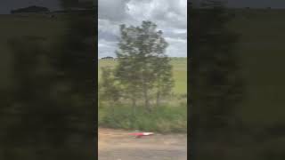 Traralgon to Southern Cross VLine VLocity Train Journey Oct 2024 windowview melbourne australia [upl. by Yevreh]