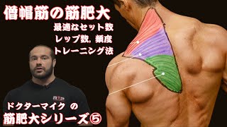 僧帽筋の筋肥大  最適なセット数 レップ数 頻度 トレーニング法  ドクターマイク PT5 [upl. by Lyj]