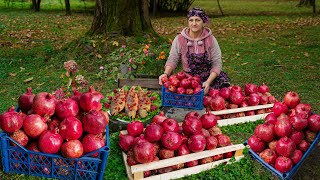 The Simplest Step to Make and Store Pomegranate Juice from Scratch [upl. by Enailil]