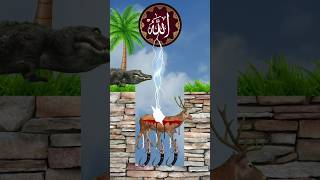 Momer ghorataislamicshorts cartoonislamicvideo shorts youtubevideoyoutubeshorts trendingvideo [upl. by Ylsel]