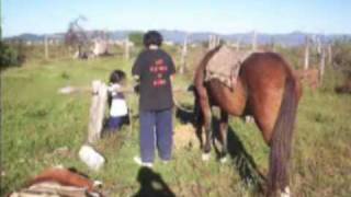 Gauchos de Acero  Mi Vida En Caballo  By Gauchos [upl. by Fowler765]