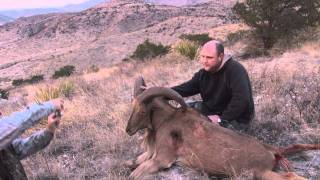 Gage Aoudad amp Mule Deer Hunt HD [upl. by Getraer381]