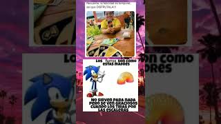 bien dicho sonic [upl. by Dulcle]