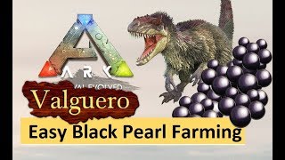 ARK Valguero  Easy Black Pearl amp Silica Pearl Farming Guide [upl. by Fox]