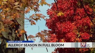 Allergy Season in Full Bloom  March 19 2024  News 19 at 4 pm [upl. by Ripleigh]