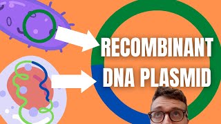 Recombinant DNA Technology Explained For Beginners [upl. by Waiter]