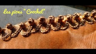 Pionter la criniére  Style Crochet✂️ [upl. by Iborian]