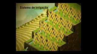 A agricultura incawmv [upl. by Ingunna]