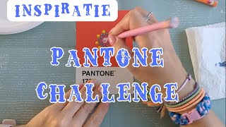 Pantone challenge Stippen [upl. by Llorrac873]