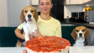 COOKING WITH BEAGLES  Cheesecake [upl. by Patton]