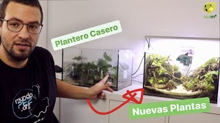 Nuevas Plantas 🌱  Cambios y Resultados del Plantero Casero  AquaTips [upl. by Asinet]