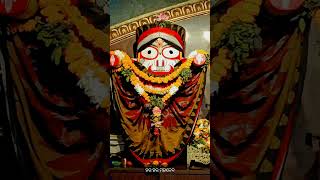 jay jay jagannath🙏🙏🙏🙏 [upl. by Harms]