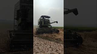 यह कंबाइन गिरे हुए धान को भी अच्छे से काट रहा है💯✅ combine harvester sampatcombine paddy shorts [upl. by Jegger905]