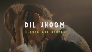 Dil Jhoom  Slowed  Reverb  Arijit Singh  Lofi Version [upl. by Amik]