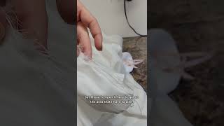 Bridal sewing challenge fraying fabric [upl. by La]