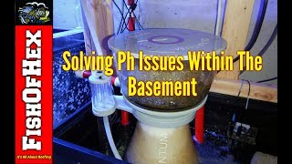 Solving Ph Issues Within The Basement  Fish Room Setup Part 6 [upl. by Atile]