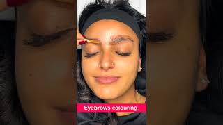 Eyebrows colouring shorts 20 juliedesigner youtubeshorts eyebrows makeuphacks [upl. by Mure]