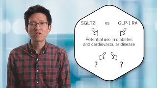 Choosing SGLT2 Inhibitors vs GLP1 Receptor Agonists [upl. by Gratianna]