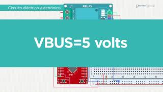 Programador de microcontroladores 17 [upl. by Luana442]