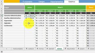 Planilha de Plano de Cargos Carreiras e Salários  Funcionamento Geral [upl. by Assil]