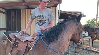 Horse Training  First Ride First Mount [upl. by Yeslrahc]