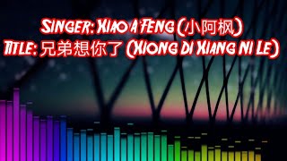 兄弟想你了quotXiong Di Xiang Ni Lequot By Xiao A Feng 小阿枫 ••DJ版••Remix DouYin [upl. by Jenne]