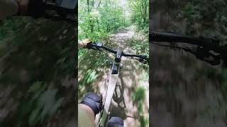 DESCENTE improvisée en VTT epic mtb enduro bikelover [upl. by Eseilenna]