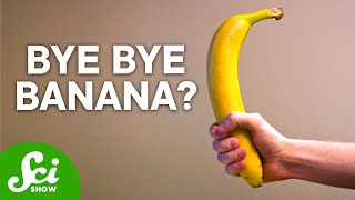 Bananas Are Not What You Think  The Shocking Truth [upl. by Elehcor]