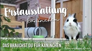 Kaninchen ERSTAUSSTATTUNG  Das brauchst du für deine 1 Kaninchen 💗🐇  Kaninchenstar [upl. by Caspar]