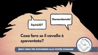 Cosa fare con un cavallo spaventato  Equindi Domandamelo [upl. by Ennovahc]