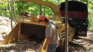 The Arbor Barber  How to chip logs 101 Vermeer 1800a wood chipper [upl. by Hannasus637]