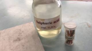 heating copper metal with concentrated sulphuric acid [upl. by Nothsa]