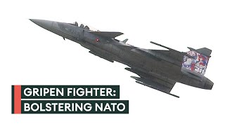 Saab Gripen The easytofly fighter jet that could be on its way to Ukraine [upl. by Mainis155]