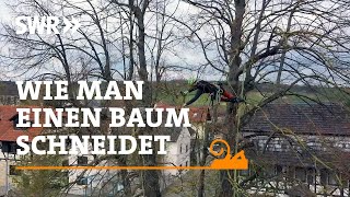 Wie man einen Baum schneidet  SWR Handwerkskunst [upl. by Walden]